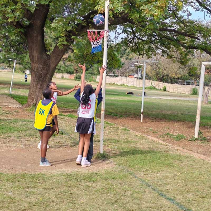 Netball